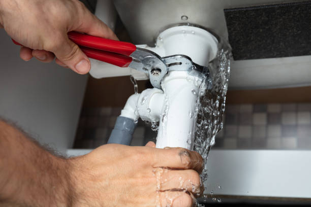 Best Ceiling water damage repair  in Carbon Cliff, IL