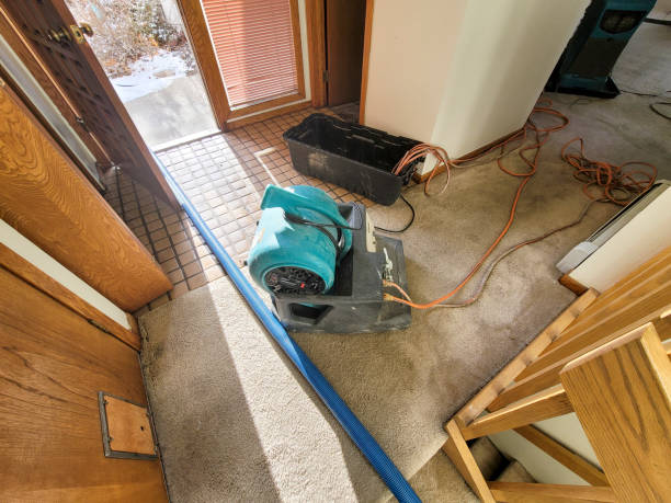 Best Basement water damage restoration  in Carbon Cliff, IL