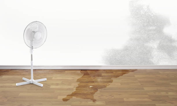Best Sewage cleanup and water damage restoration  in Carbon Cliff, IL