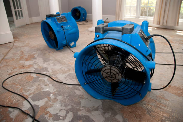 Best Flood damage cleanup  in Carbon Cliff, IL