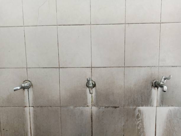 Best Water damage cleanup near me  in Carbon Cliff, IL