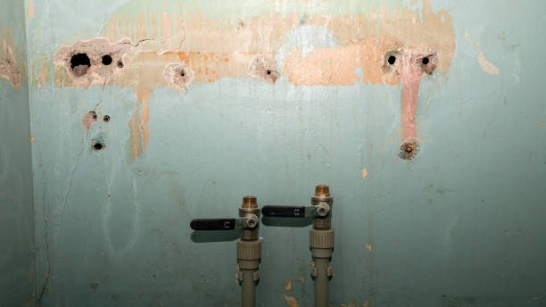Best Emergency water extraction  in Carbon Cliff, IL