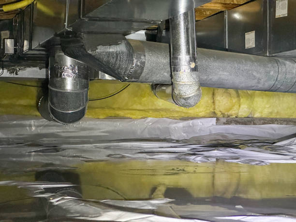 Best Water damage restoration mold remediation  in Carbon Cliff, IL