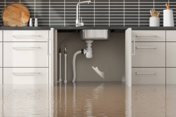 Best 24-hour water damage restoration  in Carbon Cliff, IL