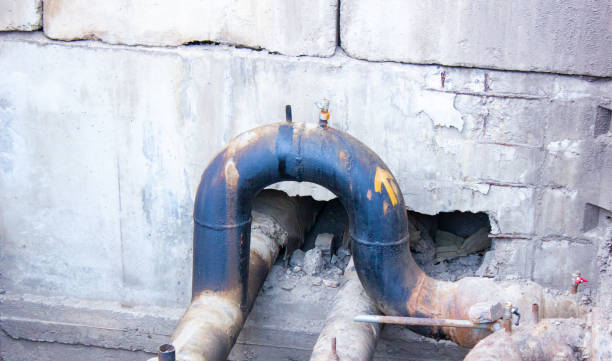 Best Water damage restoration specialists  in Carbon Cliff, IL