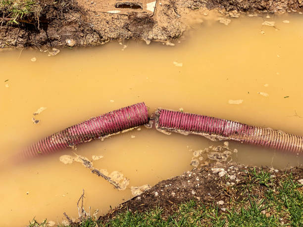 Best Water damage restoration services  in Carbon Cliff, IL