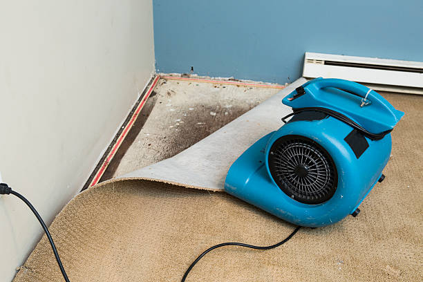 Best Residential water damage restoration  in Carbon Cliff, IL